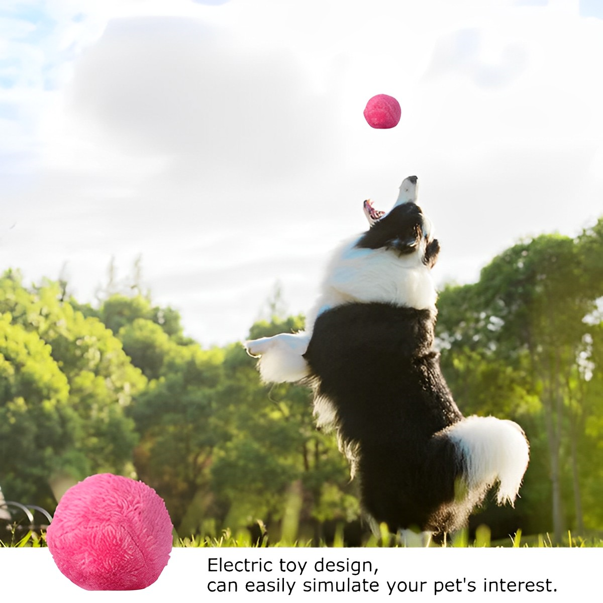 JoyBall Der ultimative Gefährte für Hunde